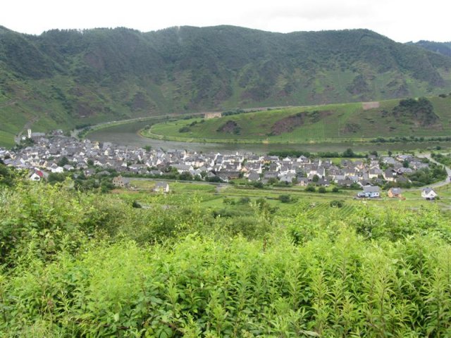 IMG_2902 (Custom)
